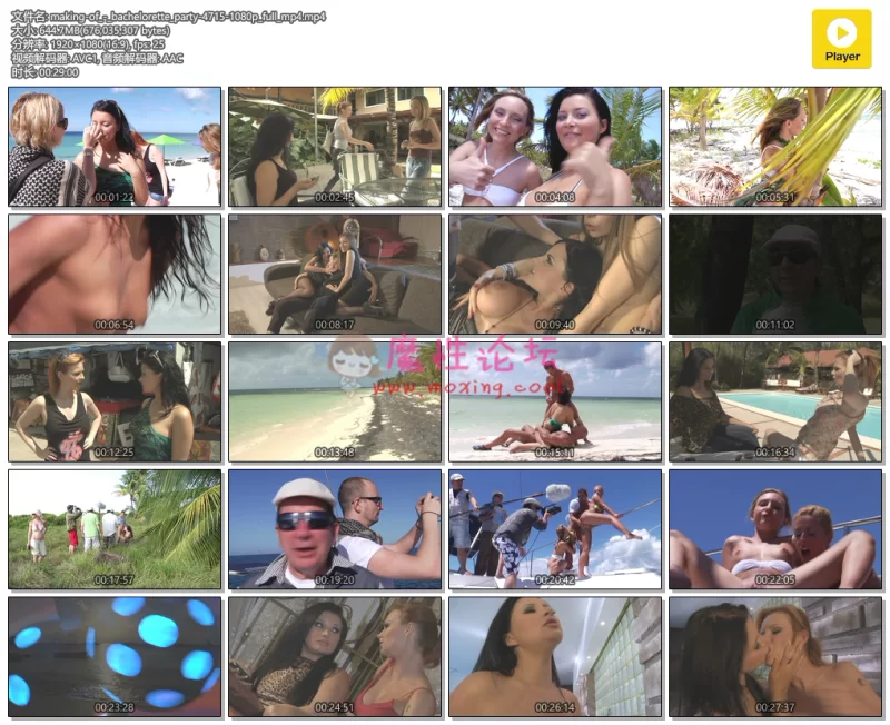 making-of_-_bachelorette_party-4715-1080p_full_mp4.mp4.png